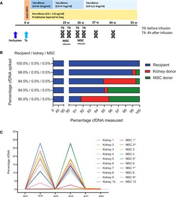 Cell-free DNA measurement of three genomes after allogeneic MSC therapy in kidney transplant recipients indicates early cell death of infused MSC